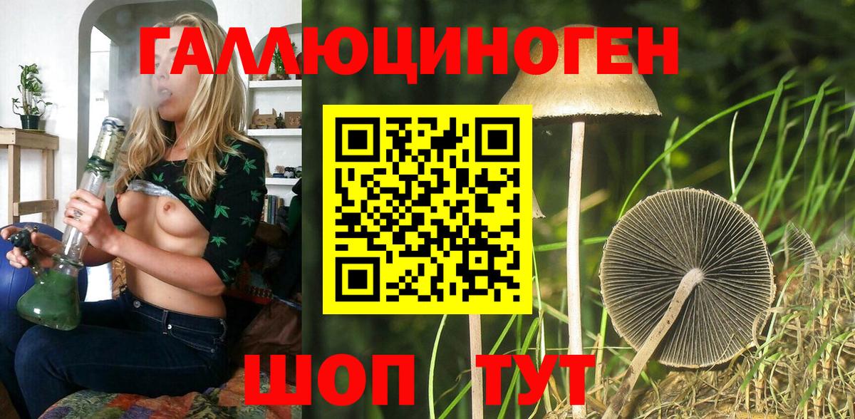 Галлюциногенные грибы Psilocybine cubensis Протвино